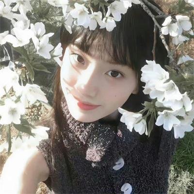 神探修尔之洛桐的神秘力量